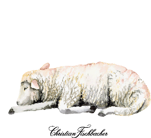 Christianfischbacher Sheep Sticker - Christianfischbacher Sheep Sleeping Stickers