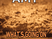 Whats Going On Meerkat GIF - Whats Going On Meerkat Curious GIFs