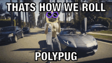 polypug polygon