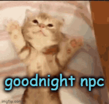 Goodnight Npc Npc GIF