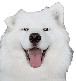 Cute Dog Sticker - Cute Dog Doggo Stickers