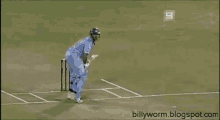 Cricket Game GIF