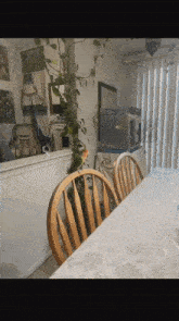 Bird Zoom GIF - Bird Zoom Cute GIFs