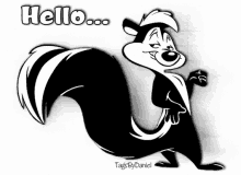 Hello Skunk GIF - Hello Skunk Have A Great Day GIFs