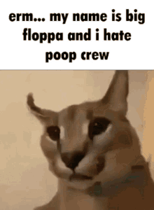 Big Floppa Hates Poop Crew Floppa GIF
