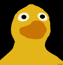 Duck Ducky GIF - Duck Ducky Ducking GIFs
