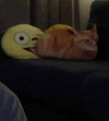 a cat laying on a couch next to an emoji pillow