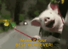 Best Year Ever Pig GIF - Best Year Ever Pig Animal GIFs