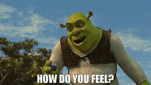 Shrek How Do You Feel GIF - Shrek How Do You Feel How You Feeling GIFs