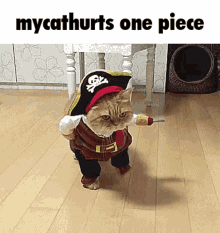 Mycathurts Pirate GIF
