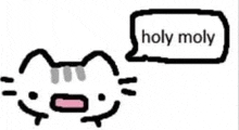 a cat with a speech bubble that says holy moly .