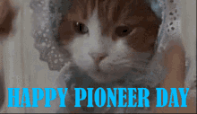 pioneer pioneer day happy pioneer day cat funny animals