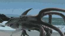 sharktopus whalewolf weird sea creatures