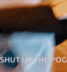 Shut Up The Pog GIF - Shut Up The Pog Touhou GIFs