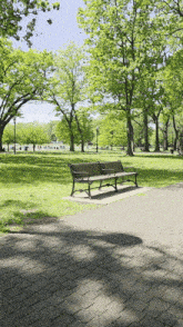 a park with trees and a bench on the sidewalk