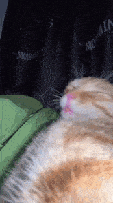 a close up of a cat laying on a bed with mountains written on the curtain behind it