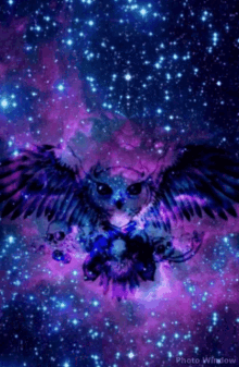 Owl Zooming In GIF - Owl Zooming In Galaxy GIFs