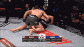 a fighter named storley is fighting another fighter