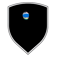 a shield with a helmet on it that says usa on it