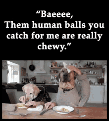chewy balls