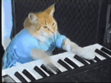 Cat Piano GIF - Cat Piano GIFs