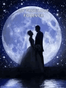 Love Wedding GIF - Love Wedding Moon GIFs