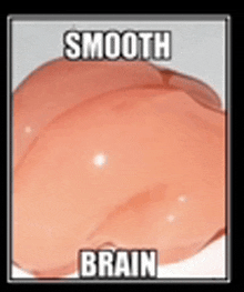 Smooth Brain No Thoughts GIF
