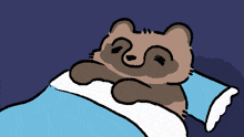 a raccoon is sleeping in a bed with a blue blanket