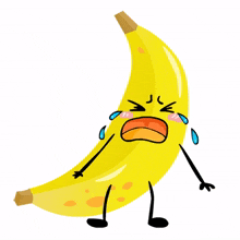 fruit banana