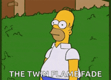 Homer Simpson Disappears GIF - Homer Simpson Homer Disappears GIFs