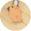 a circle with a drawing of a horse on it .