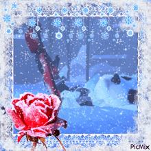 a picture of a snowy scene with a red rose in the foreground and the words picmix at the bottom