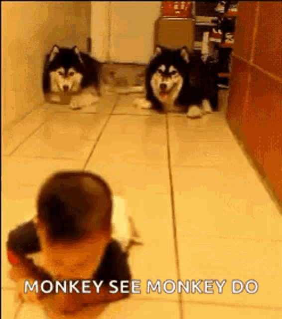 Cute Dogs GIF - Cute Dogs Baby - Discover & Share GIFs