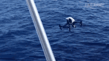 Drone Fail GIF