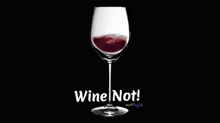 Winenot GIF - Winenot GIFs