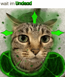 Undead Cat Meme GIF - Undead Cat Meme Gatos GIFs