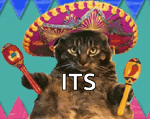 Cat Sombrero GIF - Cat Sombrero Enchiladas GIFs