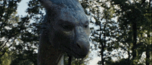 a close up of a dragon 's face with trees behind it