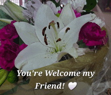 You'Re Welcome You'Re Welcome Friend GIF