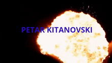 Petar Kitanovski GIF - Petar Kitanovski GIFs