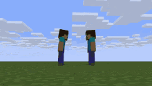 two minecraft characters standing next to each other on a field