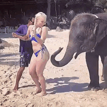 a woman in a bikini is standing next to an elephant