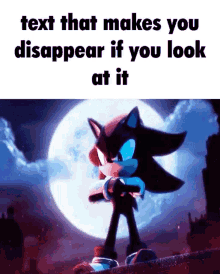 shadow sonic