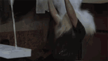 GIF