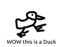 Duck Wow This Is A Duck GIF