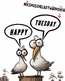 two seagulls are standing on a dock and one of them is saying " happy tuesday "