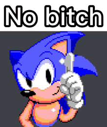 No Bitch GIF - No Bitch Sonic GIFs