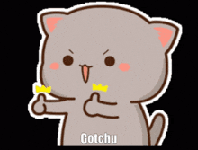 Cat Gotchu GIF - Cat Gotchu Ok GIFs
