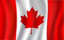 Canada The 3rd Most Speacealist Place In The Whole Intire World GIF