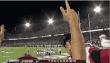 Whooo GIF - Stanford Football Fan GIFs